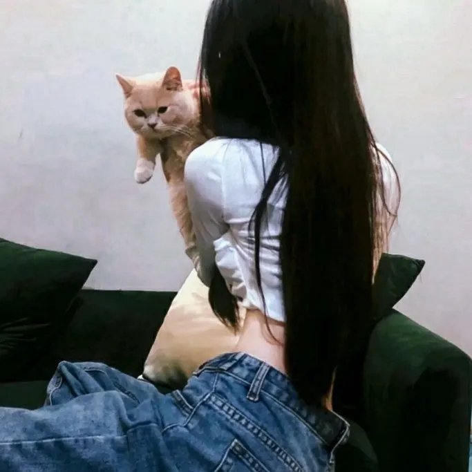 20美元